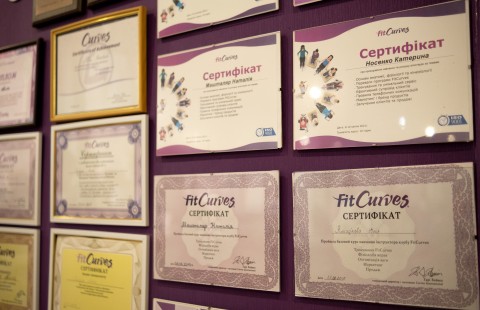 FitCurves 